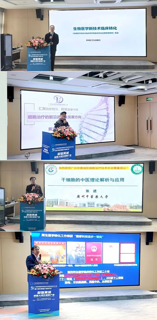 黃埔區(qū)細(xì)胞治療技術(shù)協(xié)會(huì)揭牌，聚力打造大灣區(qū)細(xì)胞治療產(chǎn)業(yè)新高地